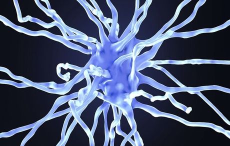 آزمایش موفقیت‌آمیز داروی جدید آلزایمر