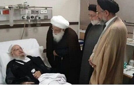 وزیر اطلاعات از آیت‌الله مکارم شیرازی عیادت کرد