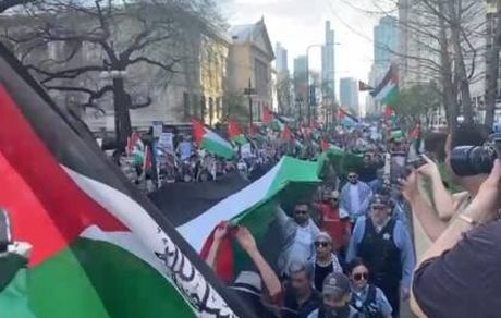 تظاهرات حامیان فلسطین در دو ایالت آمریکا