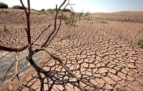 یک چهارم استان خراسان شمالی درگیر خشکسالی شدید