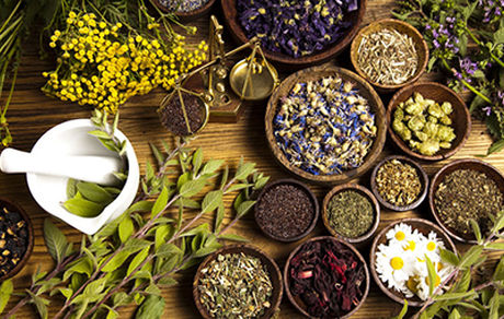 اصول کلی استفاده از داروهای گیاهی