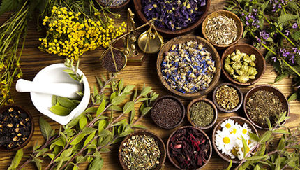 اصول کلی استفاده از داروهای گیاهی