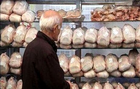 آیا واسطه‌ها از بازار مرغ حذف می‌شوند؟