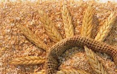 قیمت جدید سبوس اعلام شد