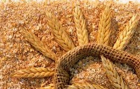 قیمت جدید سبوس اعلام شد