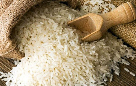 موجودی و واردات برنج چقدر است؟