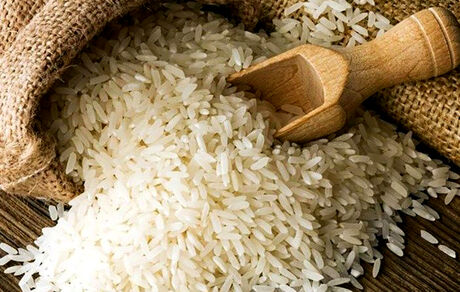 موجودی و واردات برنج چقدر است؟
