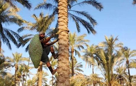 بوشهر میزبان ششمین جشنواره ملی خبرما