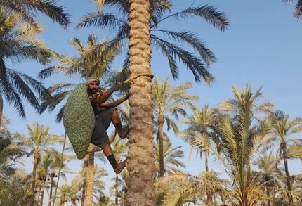 بوشهر میزبان ششمین جشنواره ملی خبرما