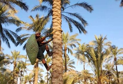 بوشهر میزبان ششمین جشنواره ملی خبرما
