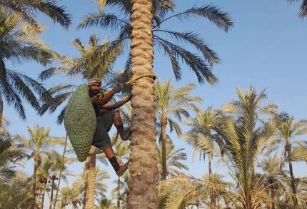 بوشهر میزبان ششمین جشنواره ملی خبرما
