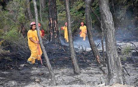 جنگل‌های ترکیه آتش گرفتند