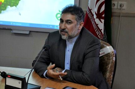 صادرات ناچیز مکمل‌های ایرانی در سال گذشته / مشکل مجوزهای تکراری به یک محصول