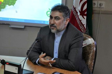 صادرات ناچیز مکمل‌های ایرانی در سال گذشته / مشکل مجوزهای تکراری به یک محصول