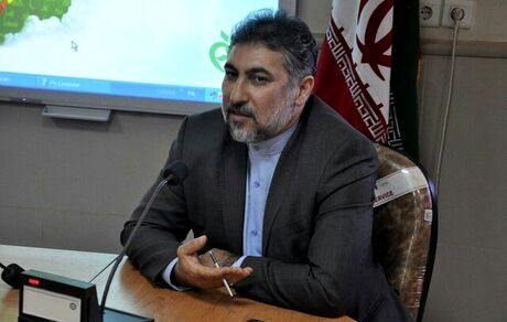 صادرات ناچیز مکمل‌های ایرانی در سال گذشته / مشکل مجوزهای تکراری به یک محصول