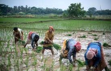 سومین غافلگیری هند برای جهان