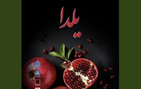 پیشنهاد تعطیلی روز فردای شب یلدا