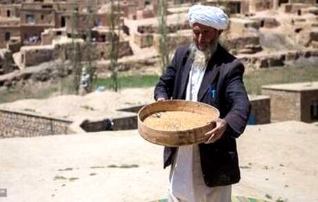 هشدار سازمان ملل متحد درباره ذخیره غذایی افغانستان و احتمال ایجاد بحران
