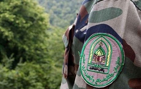 ضرب و شتم ۲ مامور منابع طبیعی در درگیری با قاچاقچیان چوب
