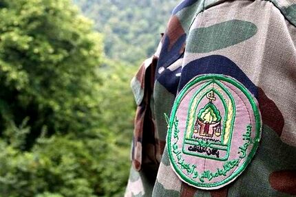 ضرب و شتم ۲ مامور منابع طبیعی در درگیری با قاچاقچیان چوب
