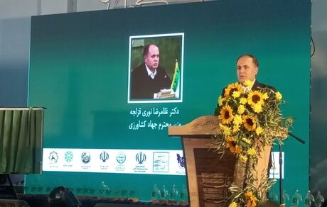 ۱۰۸ رقم جدید زیتون از کشور اسپانیا وارد خواهد شد