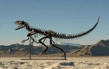 آلودگی هوا در دوران دایناسورها شدیدتر بوده است