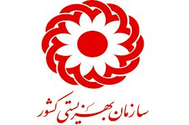 رئیس جدید سازمان بهزیستی کشور منصوب شد