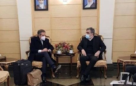 مدیر کل آژانس بین‌المللی انرژی اتمی وارد تهران شد