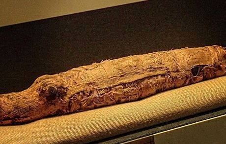 کروکودیل‌های مومیایی‌شده با قدمت ۲۵۰۰ سال پیش کشف شد