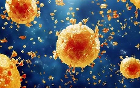 اولین مبتلا به زیرسویه جدید آنفولانزای خوکی در بریتانیا شناسایی شد
