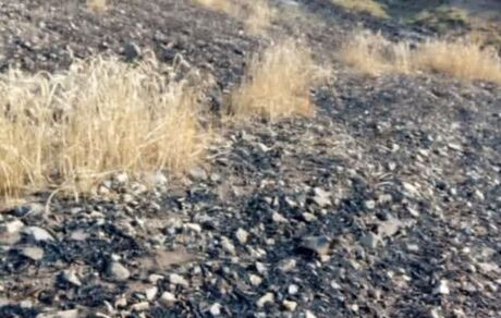 آتش اراضی کشاورزی و مراتع روستای کردلر خاموش شد