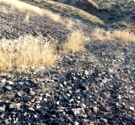 آتش اراضی کشاورزی و مراتع روستای کردلر خاموش شد