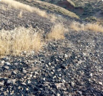 آتش اراضی کشاورزی و مراتع روستای کردلر خاموش شد