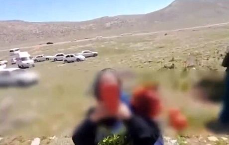 برخورد با عوامل چیدن لاله‌های واژگونی در سپیدن