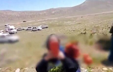 برخورد با عوامل چیدن لاله‌های واژگونی در سپیدن