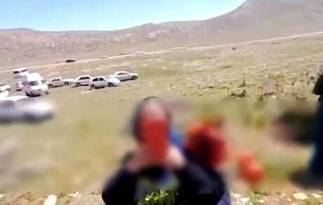 برخورد با عوامل چیدن لاله‌های واژگونی در سپیدن