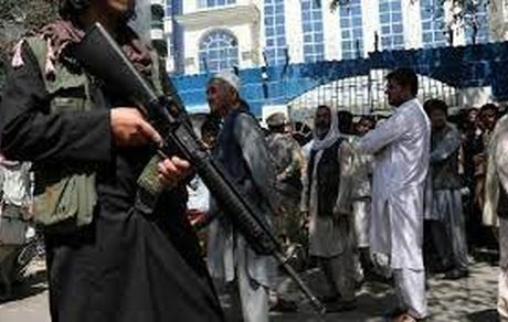 عفو بین‌الملل:‌ طالبان ۱۳ هزاره از جمله یک دختر ۱۷ ساله را کشت