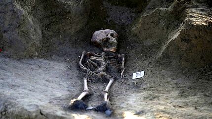 قدیمی‌ترین DNA انسانی در جنوب‌شرق آسیا بدست آمد