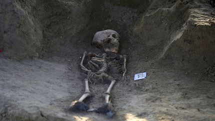 قدیمی‌ترین DNA انسانی در جنوب‌شرق آسیا بدست آمد