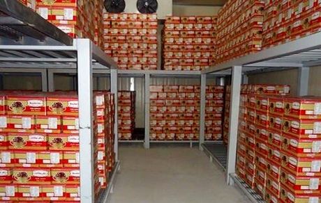 تامین ۱۰۰ هزار تن خرما برای ماه مبارک رمضان