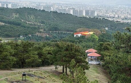 هتل ۲۵ طبقه در بوستان جنگلی لویزان ساخته می‌شود