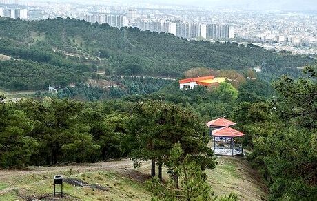 هتل ۲۵ طبقه در بوستان جنگلی لویزان ساخته می‌شود