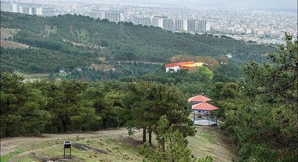 هتل ۲۵ طبقه در بوستان جنگلی لویزان ساخته می‌شود