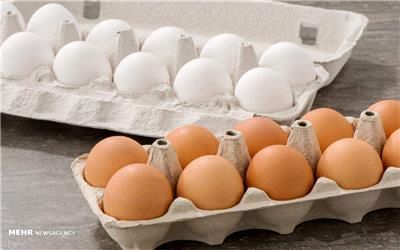 الزام عرضه تخم مرغ بسته بندی لغو شد