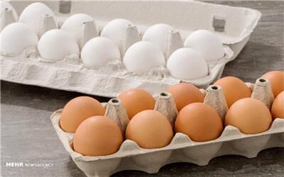 الزام عرضه تخم مرغ بسته بندی لغو شد