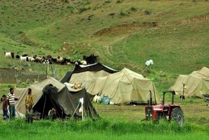یک چهارم گوشت قرمز کشور را عشایر تامین می‌کنند