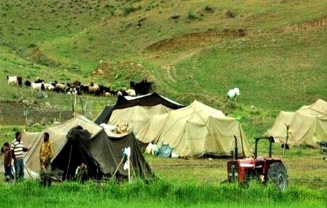 یک چهارم گوشت قرمز کشور را عشایر تامین می‌کنند