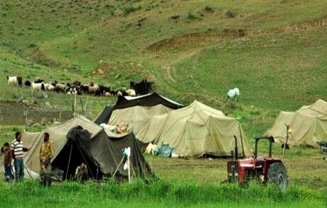یک چهارم گوشت قرمز کشور را عشایر تامین می‌کنند