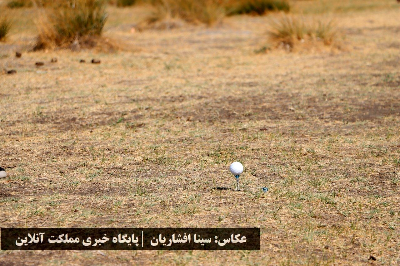 جایزه بزرگ گلف