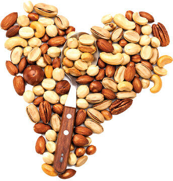 کمبودی در عرضه خشکبار و آجیل نداریم 